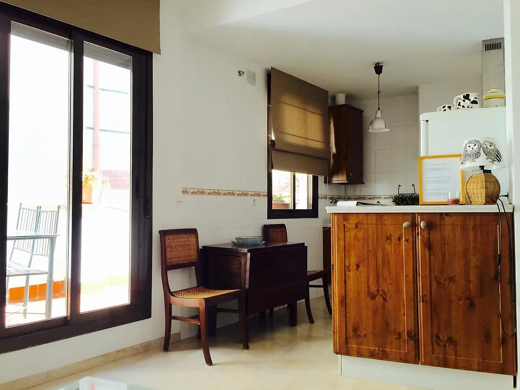 Penthouse Puerta De La Juderia Apartment Cordoba Spain