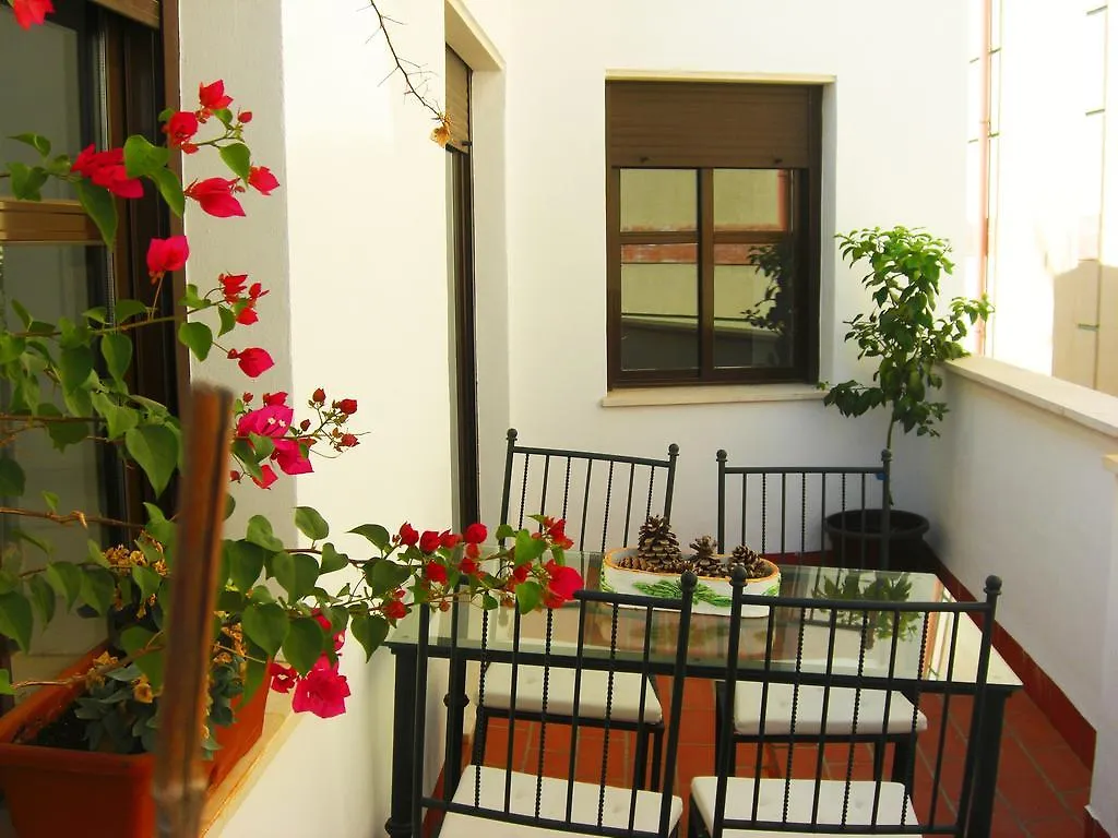 Penthouse Puerta De La Juderia Apartment Cordoba Spain